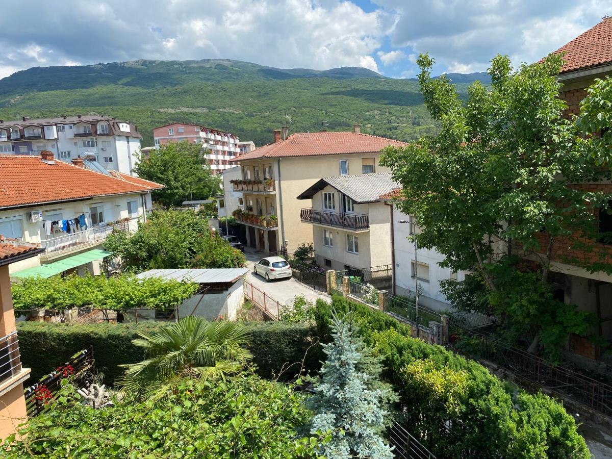 Vila Luka Hotel Ohrid Bagian luar foto